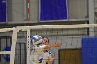 Wheaton Women's Volleyball  Wheaton Women's Volleyball vs Bridgewater State University. : Wheaton, Volleyball, BSU, Bridgewater State College